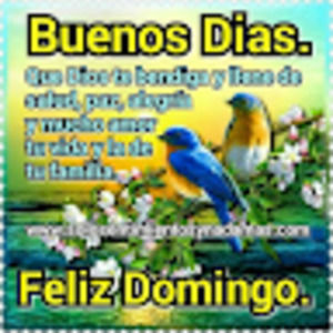 Meet your Posher, Al